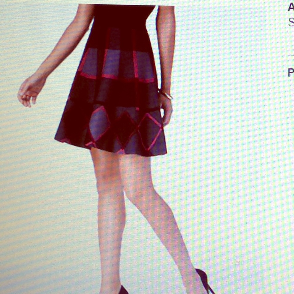 Printed fit and flare skirt